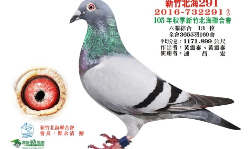 林克霉素的副作用是什么-【林克霉素的不良反应】林克霉素可以静脉注射吗 - 林克霉素禁忌网