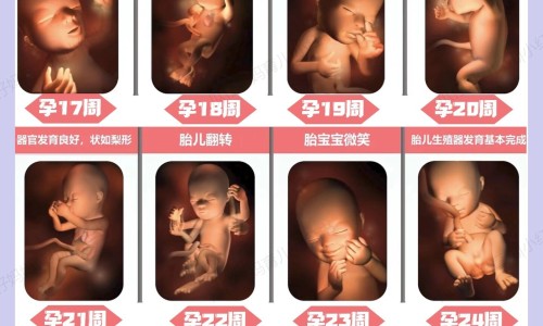 林克霉素可以静脉注射吗-【林克霉素的不良反应】林克霉素可以静脉注射吗 - 林克霉素禁忌网